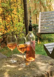 Štapić za hlađenje vina Vino P911.06 silver-6