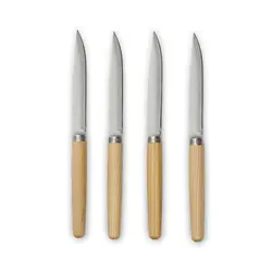 Set noževa za meso V2620 steel-2
