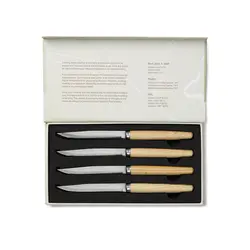 Set noževa za meso V2620 steel-3
