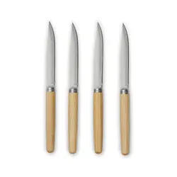 Set noževa za meso V2620 steel-1