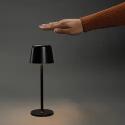 USB stolna lampa Zenic RCS P513.97 black-8