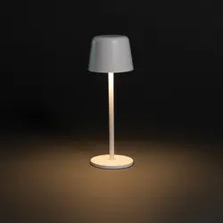 USB stolna lampa Zenic RCS P513.97 white-6
