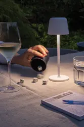 USB stolna lampa Zenic RCS P513.97 white-10
