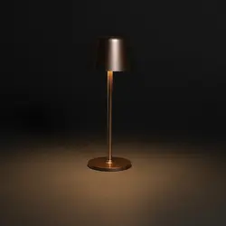 USB stolna lampa Zenic RCS P513.97 bronze-6