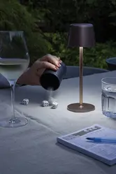 USB stolna lampa Zenic RCS P513.97 bronze-9