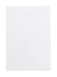 Samoljepljivi notes CreaStick Seed Note S AP716819