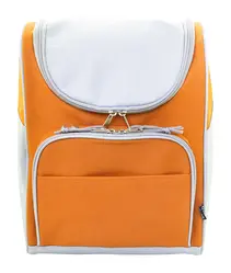 Rashladna torba Inuit AP808166 orange 250×340×190 mm-2