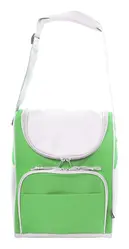 Rashladna torba Inuit AP808166 green 250×340×190 mm-1