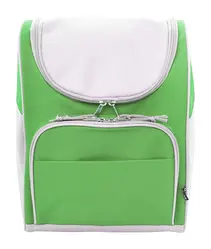 Rashladna torba Inuit AP808166 green 250×340×190 mm-2
