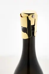 Čep za šampanjac Apulia AP808255 gold ø40×55 mm-4
