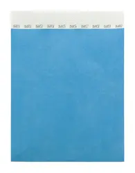 Festivalske narukvice Tyvek (10 kom) Wristvek AP717018 light blue 190×255 mm-1