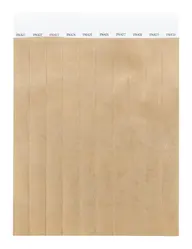 Festivalske narukvice Tyvek (10 kom) Wristvek AP717018 gold 190×255 mm-1