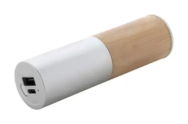 Power bank AP864078